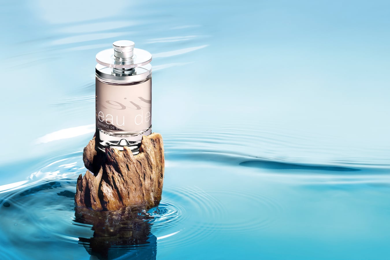 Cartier - Isabelle Bonjean